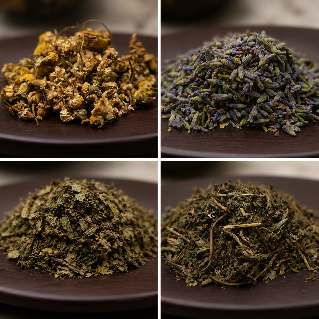 Welcome to Kiva's Botanical Tea Bar: Our Tea Journey Begins